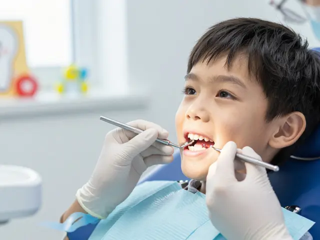 Kdy rostou druhé stoličky u dětí? Plán vývoje trvalých zubů