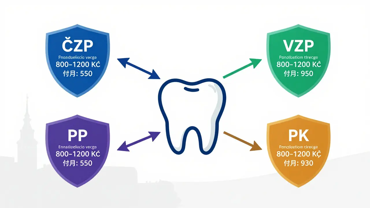 Čtyři štíty s českými zdravotními pojišťovnami a jejich ročními výplatami na dentální hygienu v roce 2026.